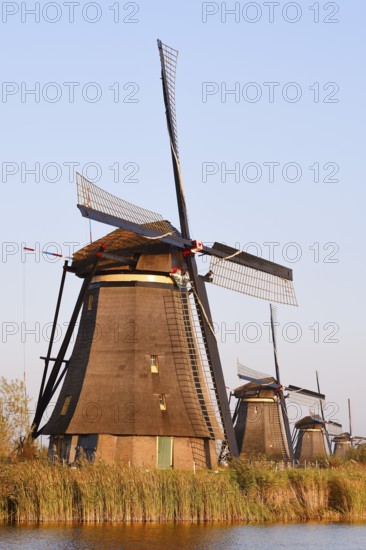 Historic windmills in the evening light, UNESCO World Heritage Site, Kinderdijk, South Holland, Netherlands