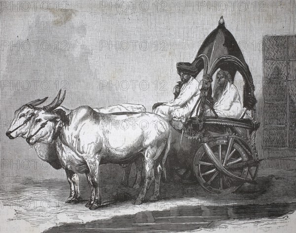 Indian touring car, single-axle tractor pulled by two cows, 1880, India, authentic, digitally restored reproduction from a 19th century model, exact date of depiction unknown, historical