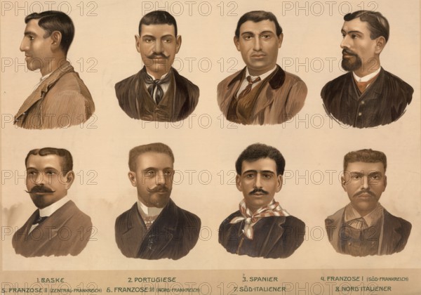 Schematic diagram, European ethnic types: Basque, Portuguese, Spanish, Southern French, French, Northern French, Southern Italian, Northern Italian, illustration, reproduction from a model from the 19th century. Authentic, file restored for optimal use, exact date of submission unknown, historical