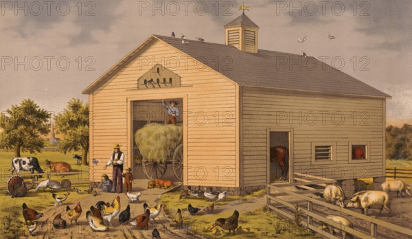Farm, barn, many farm animals such as chickens, geese, cows, horses, around 1920, illustration, reproduction from a model from the 19th century. Authentic, file restored for optimal use, exact date of submission unknown, historical