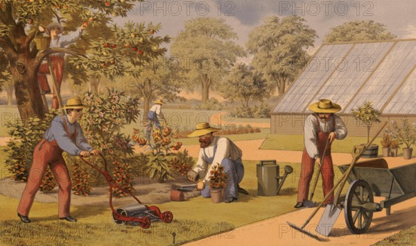 Traditional crafts, gardener at work, horticulture, around 1920, illustration, reproduction from a 19th century model. Authentic, file restored for optimal use, exact date of submission unknown, historical