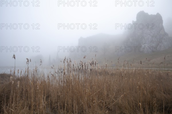 Spring 2026: Mystic morning fog surrounding the Stone Virgins (Steinerne Jungfrauen) rock formation. Herbrechtingen, Baden-Wuerttemberg, Germany