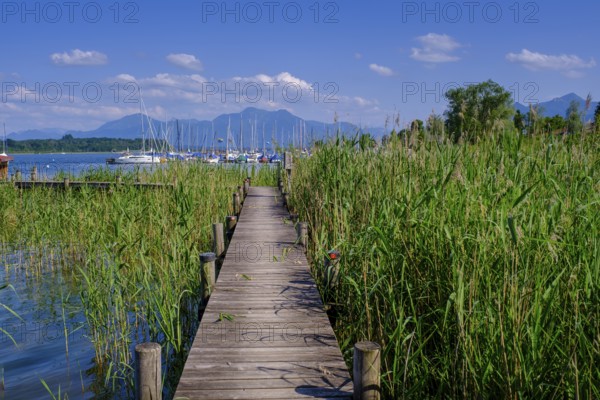 Segelclub Harras Chiemsee, Hafen am Chiemsee bei Stock, Prien, Chiemgau, Upper Bavaria, Bavaria, Germany