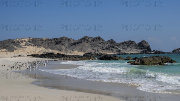 White sandy beach, secluded bay, turquoise blue sea, Omabn