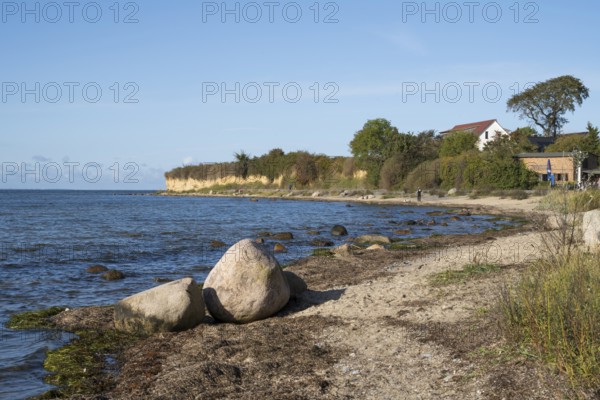 Boulders on the banks of the Saal, cliffs, Klein Zicker, Mönchgut, Rügen island, Baltic Sea, Mecklenburg-Western Pomerania, Germany