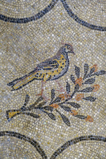 Floor mosaic, Basilica of Santa Maria Assunta of Aquileia, St. Hermagor, Aquileia near Grado, Julian Friuli, Adriatic Sea, Italy