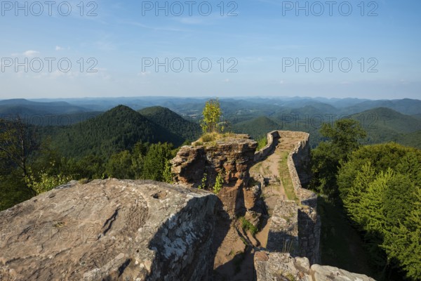 Wegelnburg ruins, near Nothweiler, Palatinate Forest, Rhineland-Palatinate, Germany