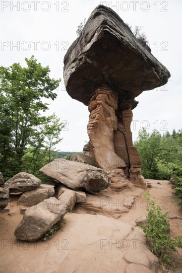 Sandstone rocks, Teufelstisch, near Hinterweidenthal, Dahner Felsenland, Palatinate Forest, Rhineland-Palatinate, Germany