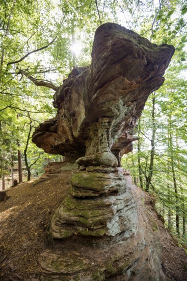 Sandstone rocks, near Hinterweidenthal, Dahner Felsenland, Palatinate Forest, Rhineland-Palatinate, Germany