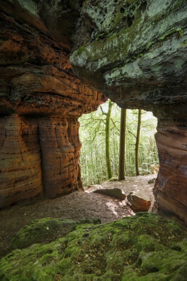 Sandstone Cliffs, Old Castle Rock, near Eppenbrunn, Palatinate Forest, Rhineland-Palatinate, Germany