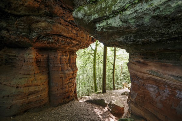 Sandstone Cliffs, Old Castle Rock, near Eppenbrunn, Palatinate Forest, Rhineland-Palatinate, Germany