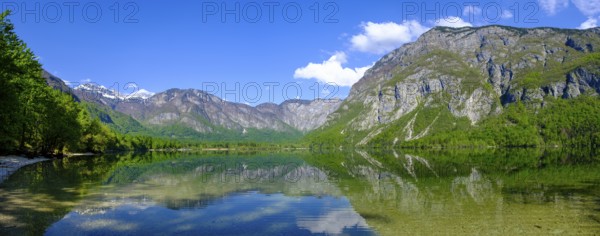 Westende, lakeside, Bohinjsko jezero, Lake Wochein, Bohinj, Upper Carniola, Slovenia