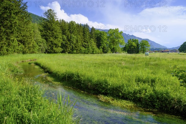 Am Naturerlebnispfad, Aschau, Chiemgau, Upper Bavaria, Bavaria, Germany