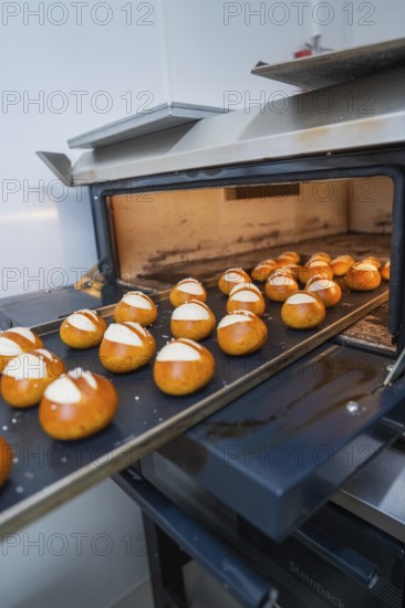 Fresh rolls are baked on a baking tray in a hot oven, bread rolls are baked, Haselstaller Hof, Gechingen, Germany