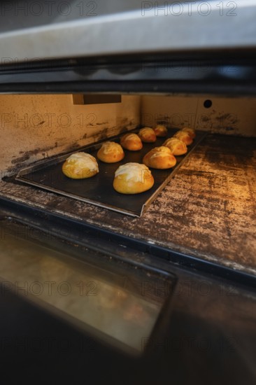 Rolls are baked in the oven, the surface is golden brown and crispy, bake rolls, Haselstaller Hof, Gechingen, Germany