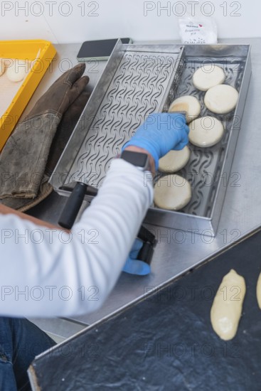 Hands a person places dough circles on a tray with patterns to prepare, bake rolls, Haselstaller Hof, Gechingen, Germany