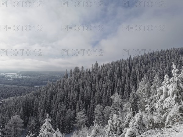 Snowy forest under cloudy sky in a winter landscape, Fichtelgebirge, Germany