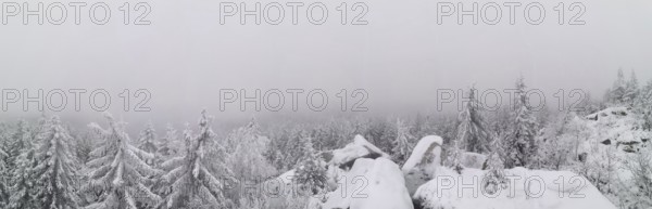 Snowy firs and rocks in a foggy winter landscape, Fichtelgebirge, Germany