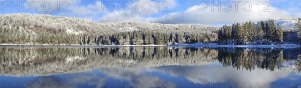 A calm lake with snow-covered trees and a clear reflection of the sky in winter, Scheibe-Alsbach dam, Thuringian Forest, Rennsteig, Thuringia