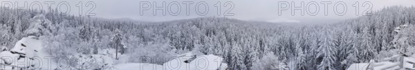 Snowy forest landscape showing thick trees and wide views, Fichtelgebirge, Upper Franconia, Germany