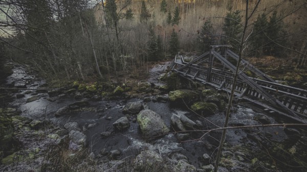 An old wooden bridge crosses a river in a dense, autumnal forest with a gloomy atmosphere, Teufelssteg im Höllental, Frankenwald nature park Park, Germany