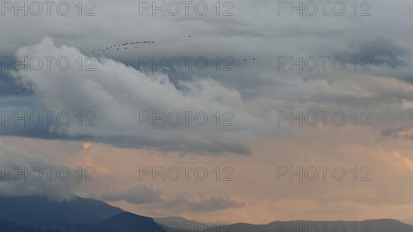 Dramatic sky with clouds and flock of birds, mountains in background at sunset, Lake Ohrid, North Macedonia