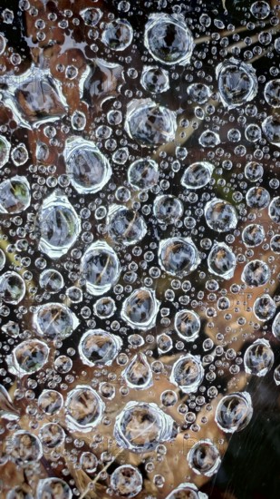 Water droplets on a spider web form a delicate, abstract pattern with reflections and transparency in nature, Fichtelgebirge, Germany
