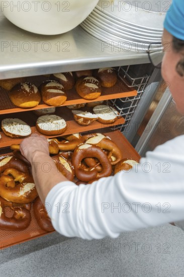 Baker places pretzels on shelves in a bakery, baking freshly baked goods, rolls, Haselstaller Hof, Gechingen, Germany