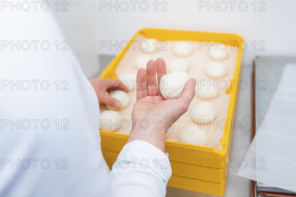 Baker presents dough ball in hand in front of a yellow box full of dough balls, bake rolls, Haselstaller Hof, Gechingen, Germany