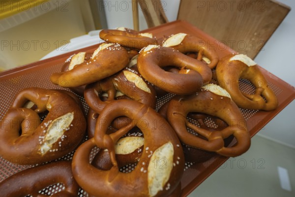 Freshly baked pretzels on a cooled, perforated baking tray, bake rolls, Haselstaller Hof, Gechingen, Germany
