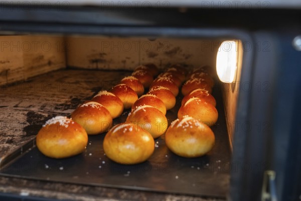 Bake pretzel rolls with salt in an oven, golden brown crust, bake rolls, Haselstaller Hof, Gechingen, Germany