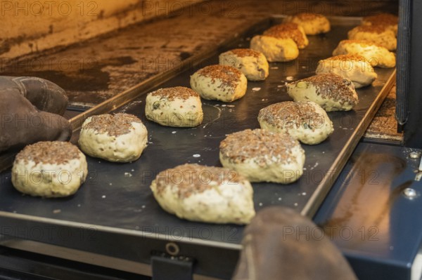 Several rolls with linseed in a warm oven on a baking tray, bake rolls, Haselstaller Hof, Gechingen, Germany
