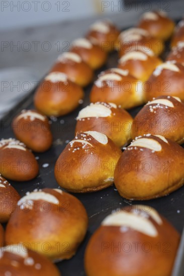 Golden brown pretzel rolls with salt spread in stripes on a baking tray, bake rolls, Haselstaller Hof, Gechingen, Germany