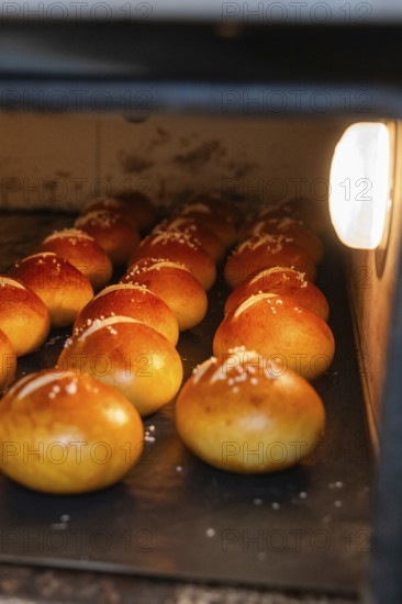 Pretzel rolls are baked in the oven with salt, golden brown surface, bake rolls, Haselstaller Hof, Gechingen, Germany