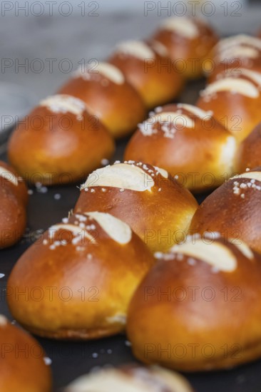 Fresh, golden brown pretzel rolls with salt streusel lie on a baking tray, bake rolls, Haselstaller Hof, Gechingen, Germany