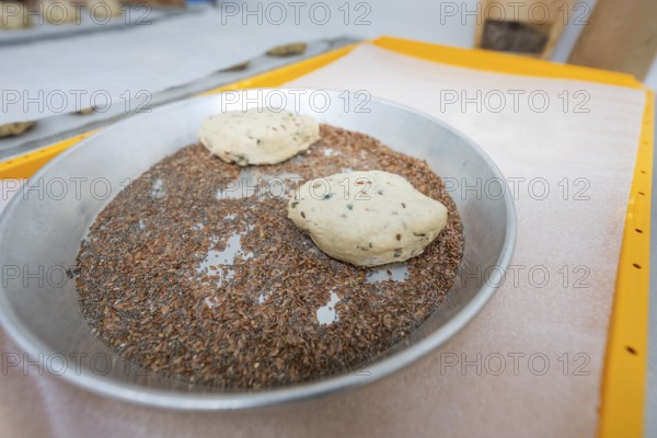Two dough pieces lie in a flat metal bowl with linseeds, bake rolls, Haselstaller Hof, Gechingen, Germany
