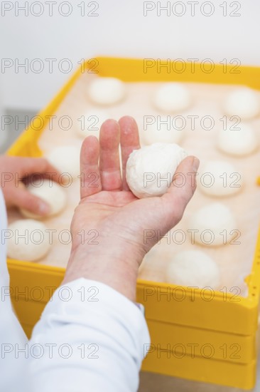 A baker holds a dough ball over several other dough balls in a yellow box, bake rolls, Haselstaller Hof, Gechingen, Germany