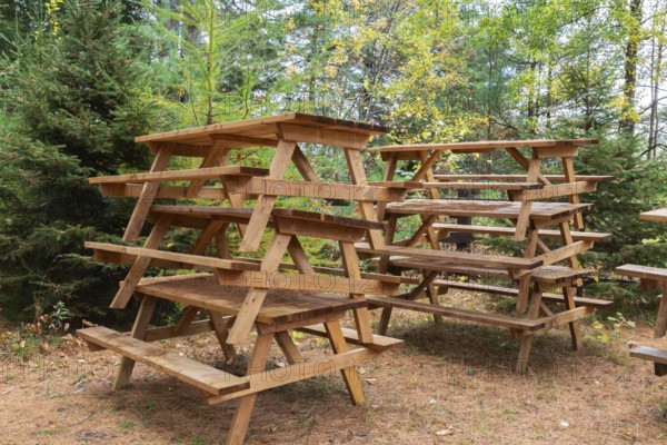 Stacked natural cedar wood picnic tables stored in forest with ground covered with shedded Pinus - Pine tree needles in autumn, Quebec, Canada