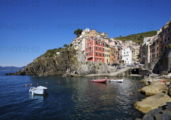 Colourful houses under blue sky, view of the fishing village of Riomaggiore, boats in the harbour, Cinque Terre, La Spezia province, Liguria, Italy