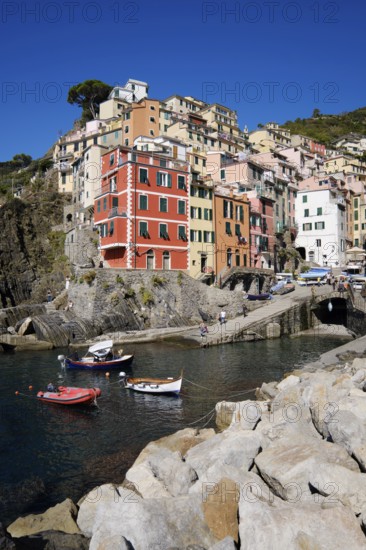 Colourful houses under blue sky, view of the fishing village of Riomaggiore, boats in the harbour, Cinque Terre, La Spezia province, Liguria, Italy