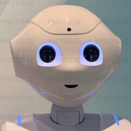 Head of the humanoid robot Pepper, Germany