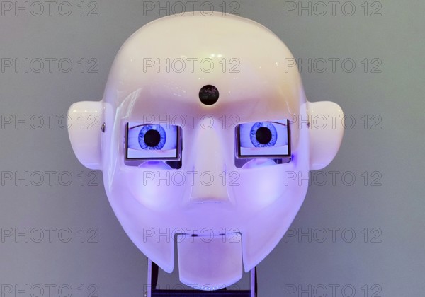 Humanoid robot head, artificial intelligence, Germany