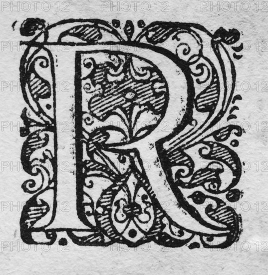 Initial, initial letter R, woodcut from Hortus Eystettensis, plant book by Nuremberg pharmacist Basilius Besler, Renaissance, Eichstädt, 1613