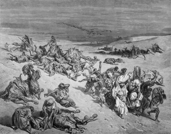The Egyptian Plagues, The Plague, History, Exodus, Second Book of Moses, Chapter 9, Verse 6, Bible, Old Testament, Fifth Plague, Cattle Plague, Egyptian Animals, Camels, Death, Cattle Dying, People, Despair, Fear, Misery, Arabs, God, Punishment, Historical Illustration after Gustave Doré around 1880