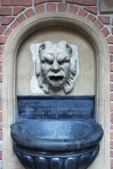 Fountain figure in the courtyard of Collegium Maius, Krakow, Poland