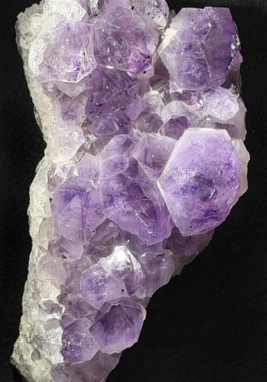 Amethyst, purple variety of the mineral quartz, Germany