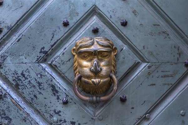 Lion's head as a door knocker at a historic entrance gate, Krakow, Poland