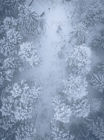 Bird's eye view of snow-covered trees and trails in winter forest, Himmelsglück observation tower with Flying Fox, Schömberg, Black Forest, Germany