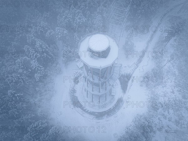 A snow-covered treetop trail soars high in foggy winter weather, Himmelsglück observation tower with Flying Fox, Schömberg, Black Forest, Germany