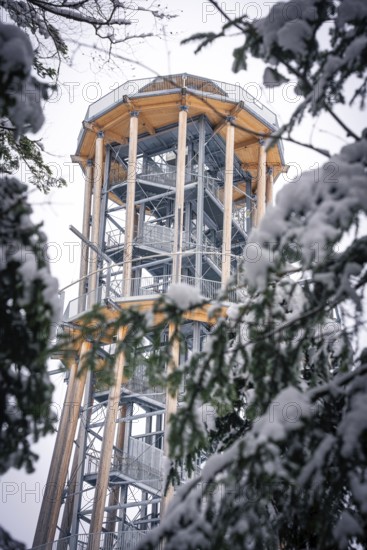 A high observation tower in the forest is surrounded by snow-covered trees, Himmelsglück observation tower with Flying Fox, Schömberg, Black Forest, Germany